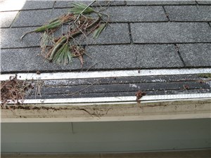 Stainless steel micro mesh gutter guard clogged with pine sap and pollen